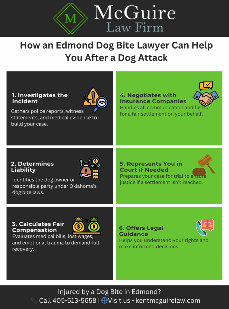 This Infographic shows that how an Edmond Dog Bite lawyer can help you after a Dog Attack